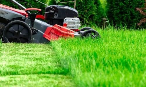 _Perfect Lawn Every Time_ Expert Lawn Mowing Tips You Need!_